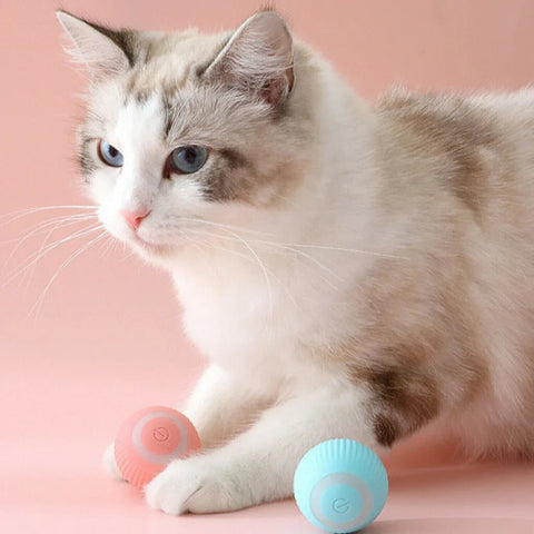 Smart Cat Ball Toys – Interactive Automatic Rolling Ball