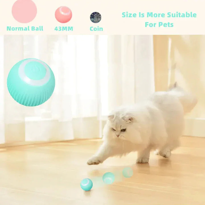 Smart Cat Ball Toys – Interactive Automatic Rolling Ball
