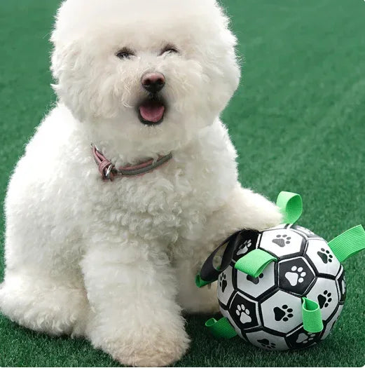 Interactive Dog Ball Toy – Fun & Brain Game for Dogs
