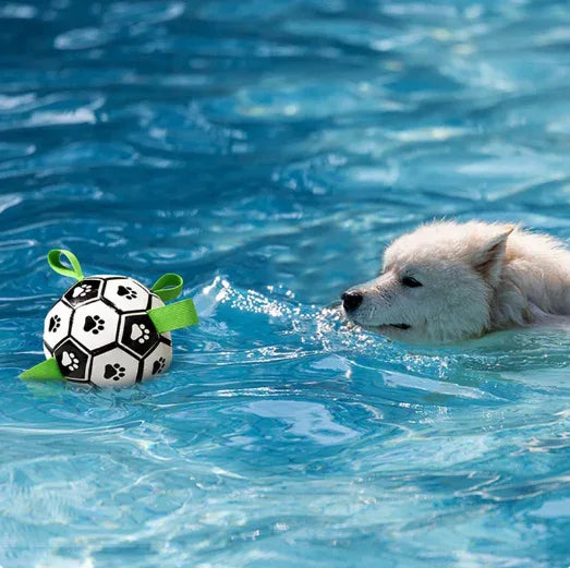 Interactive Dog Ball Toy – Fun & Brain Game for Dogs