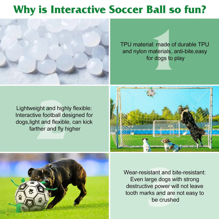 Interactive Dog Ball Toy – Fun & Brain Game for Dogs