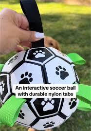 Interactive Dog Ball Toy – Fun & Brain Game for Dogs